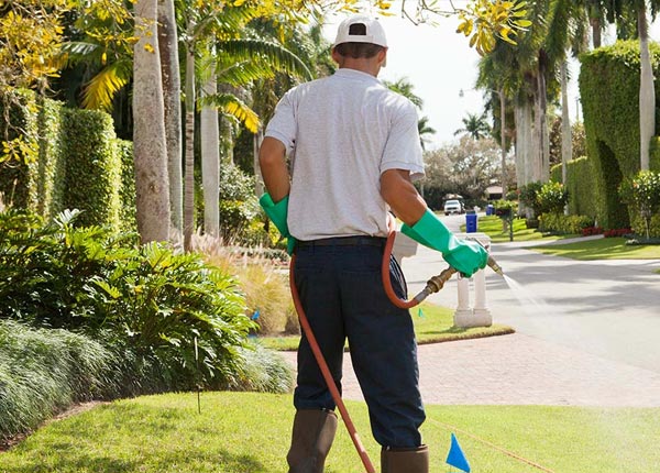 About Whitney PA Pest Control